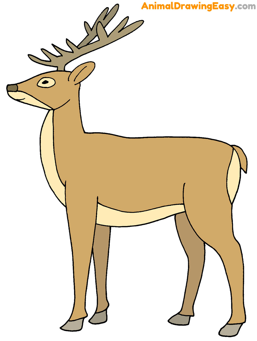 How to Draw a Deer