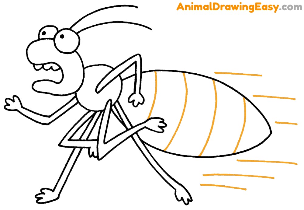 Bed Bug Drawing