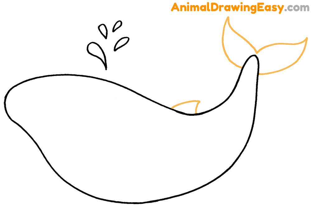 Blue Whale Drawing Guide