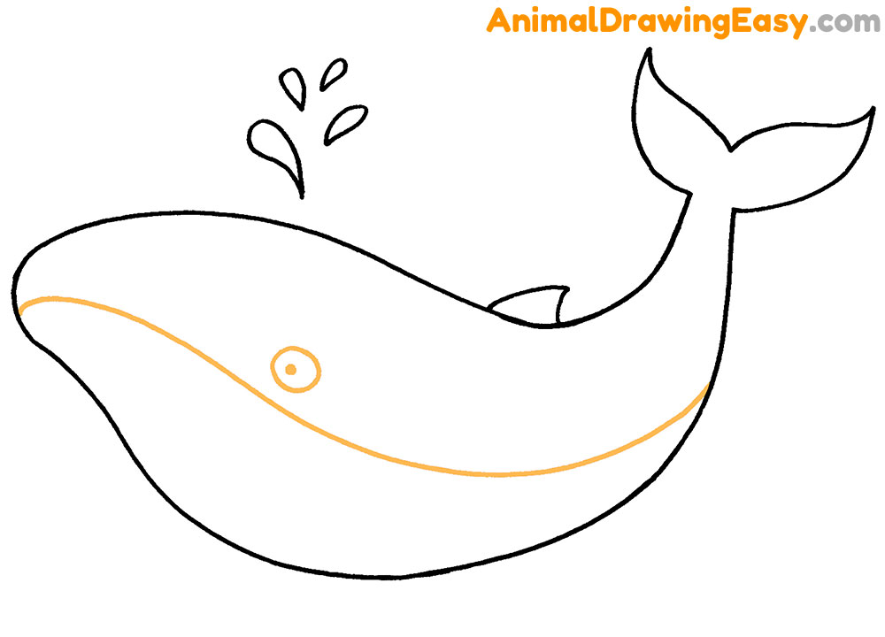 Blue Whale Drawing Lesson
