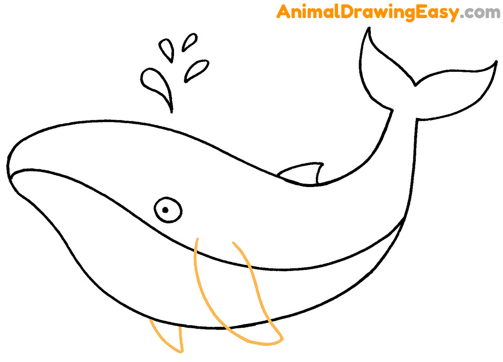 Blue Whale Drawing Tutorial