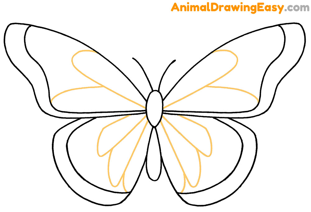 Butterfly Drawing Lesson