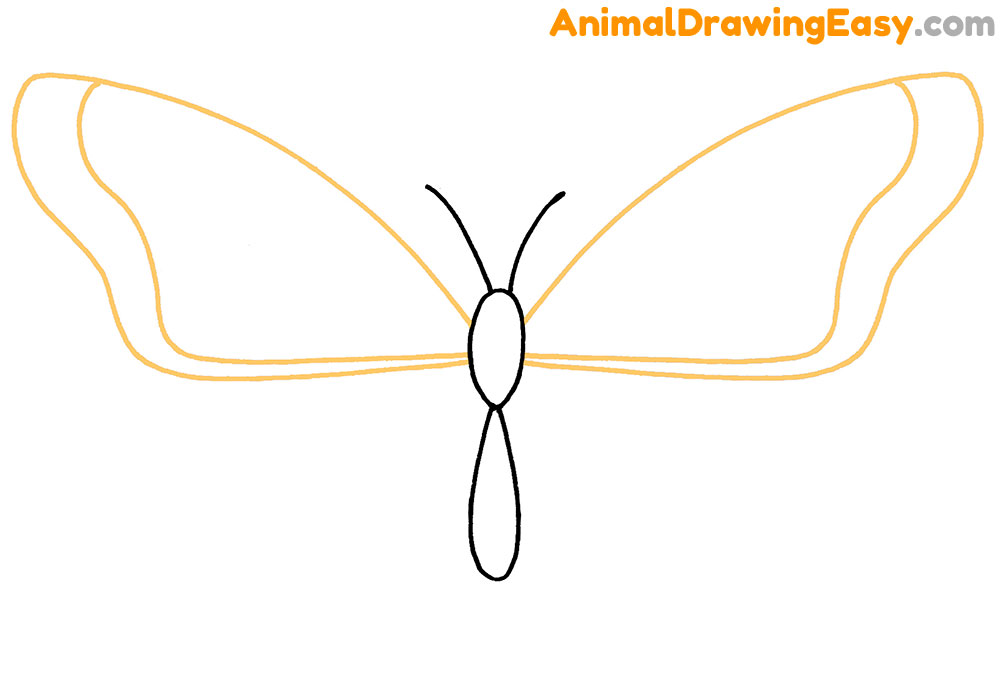 Butterfly Drawing Tutorial