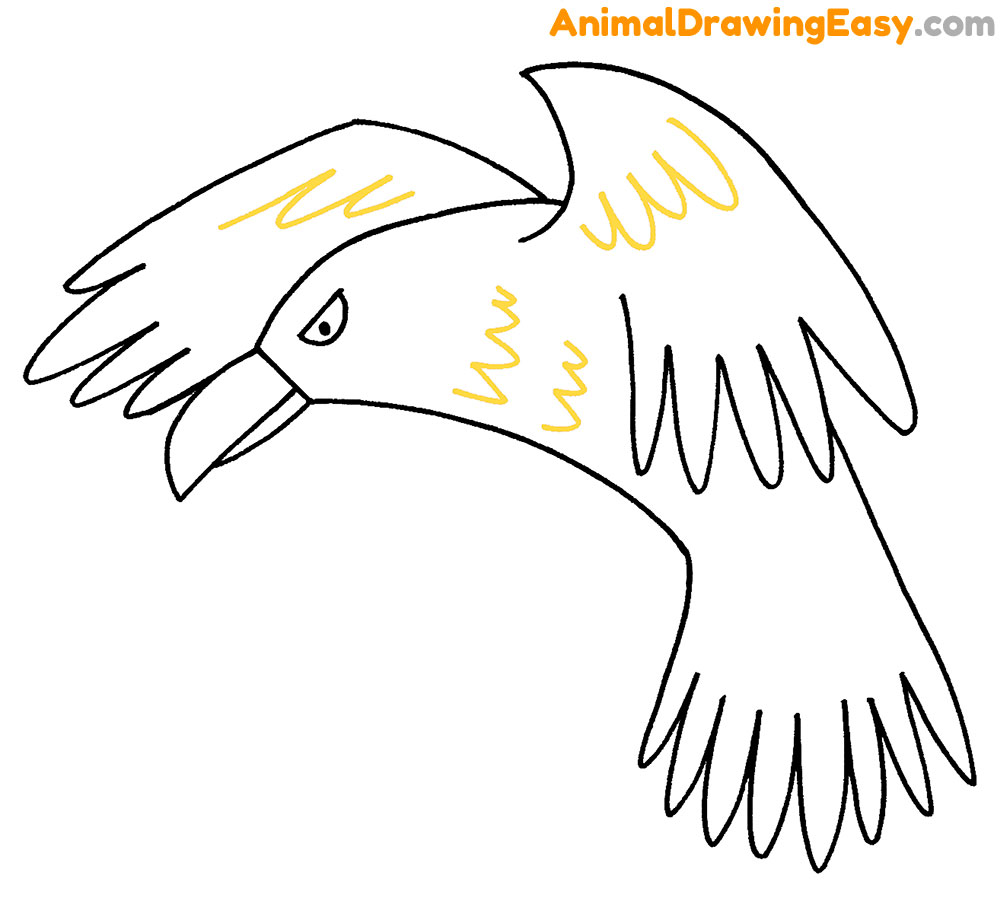 Crow Drawing Guide