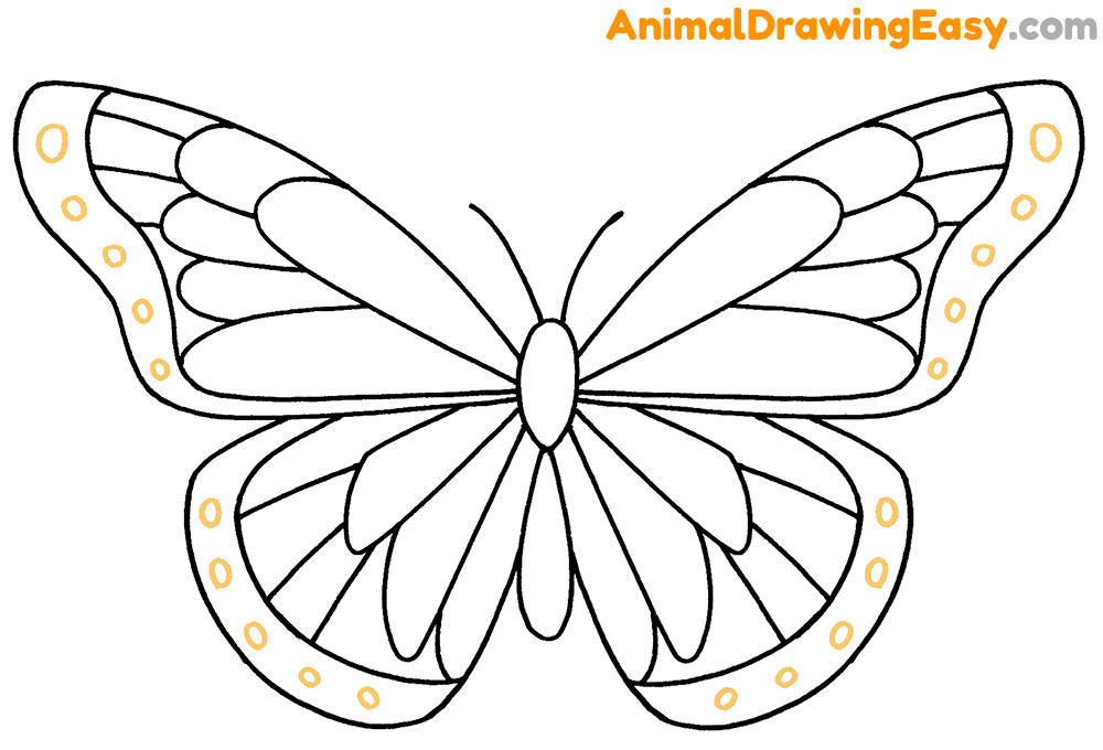 Draw a Butterfly