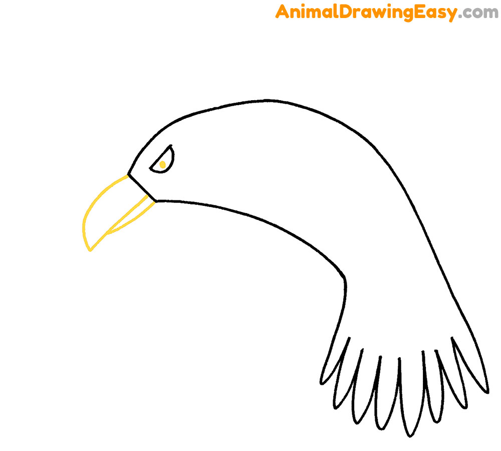 How to Draw A Crow – A Step by Step Guide | Crows drawing, Crow painting,  Minimal drawings