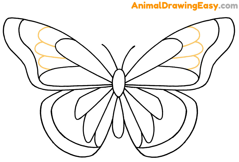 Easy Drawing Butterfly