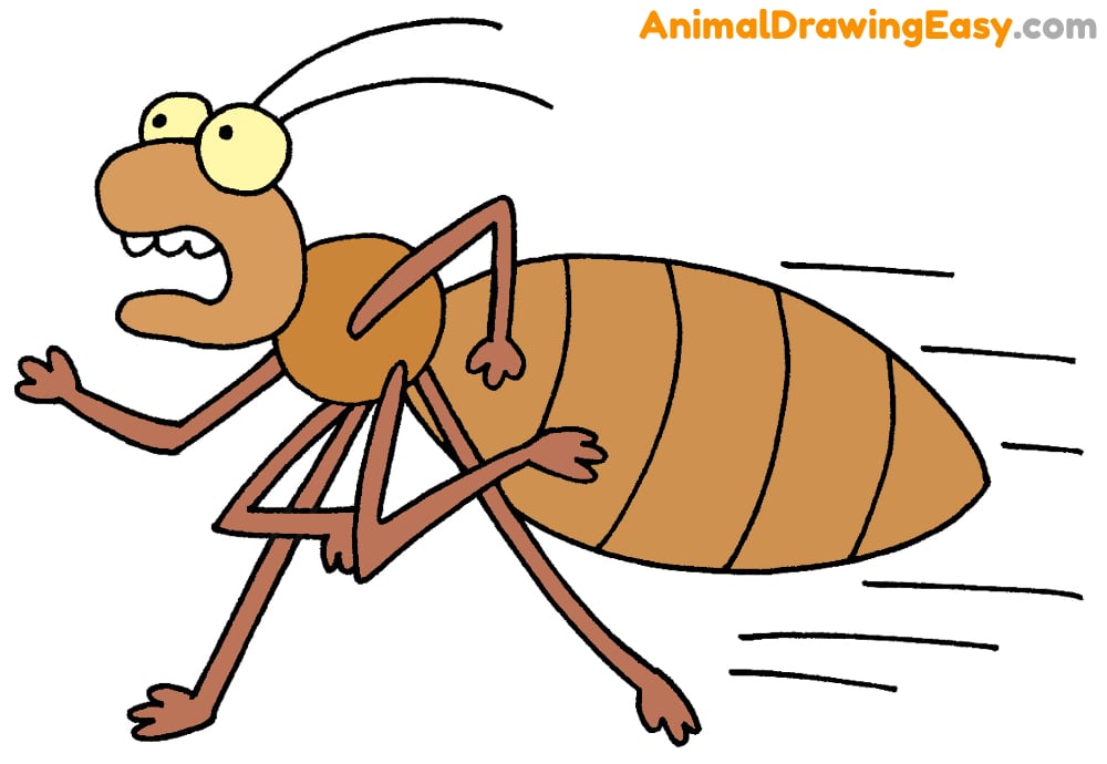 How to Draw a Bed Bug