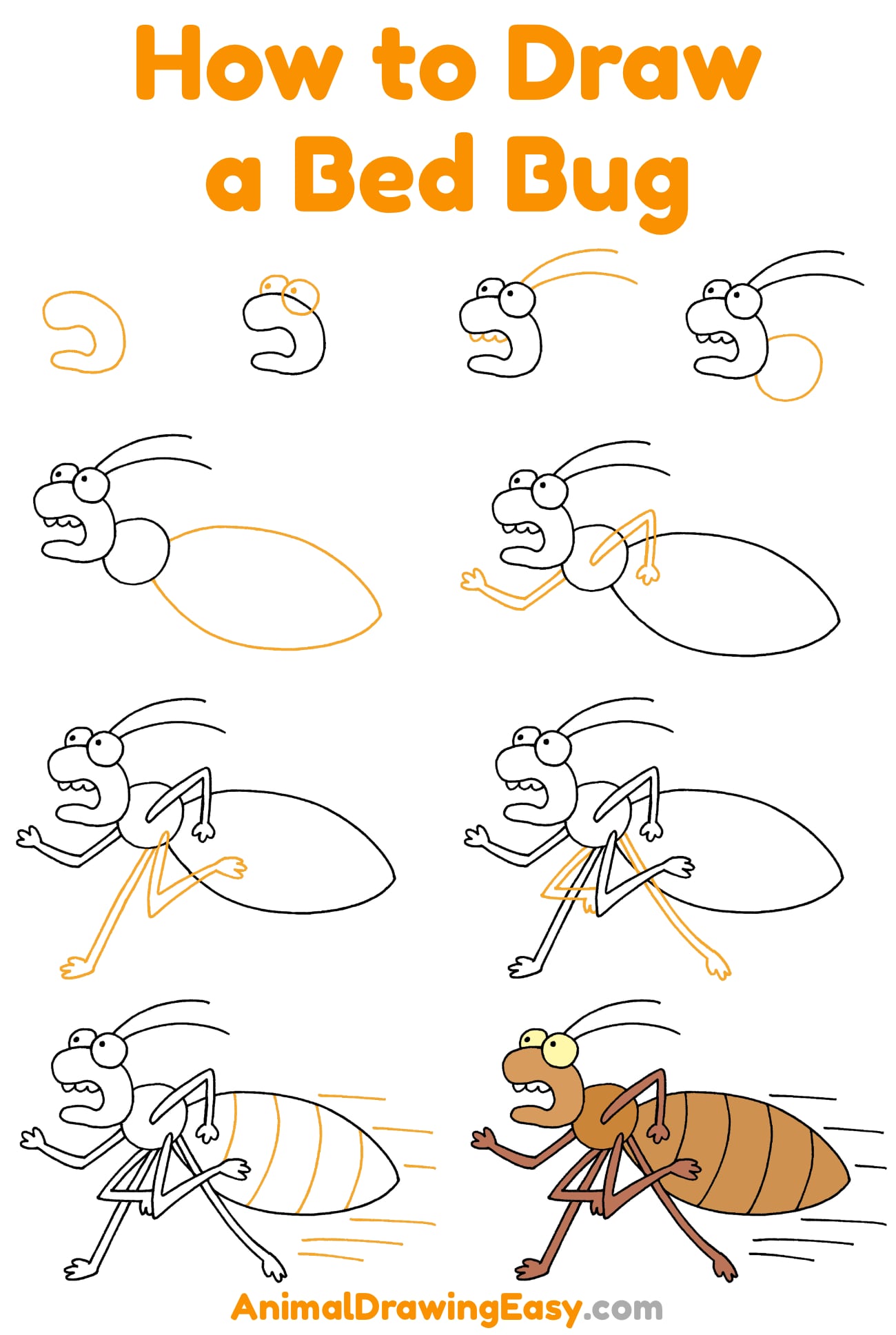 How to Draw a Bed bug Step by Step