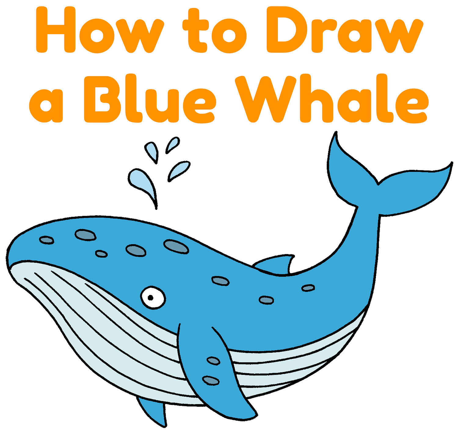 How to Draw a Blue Whale Easy