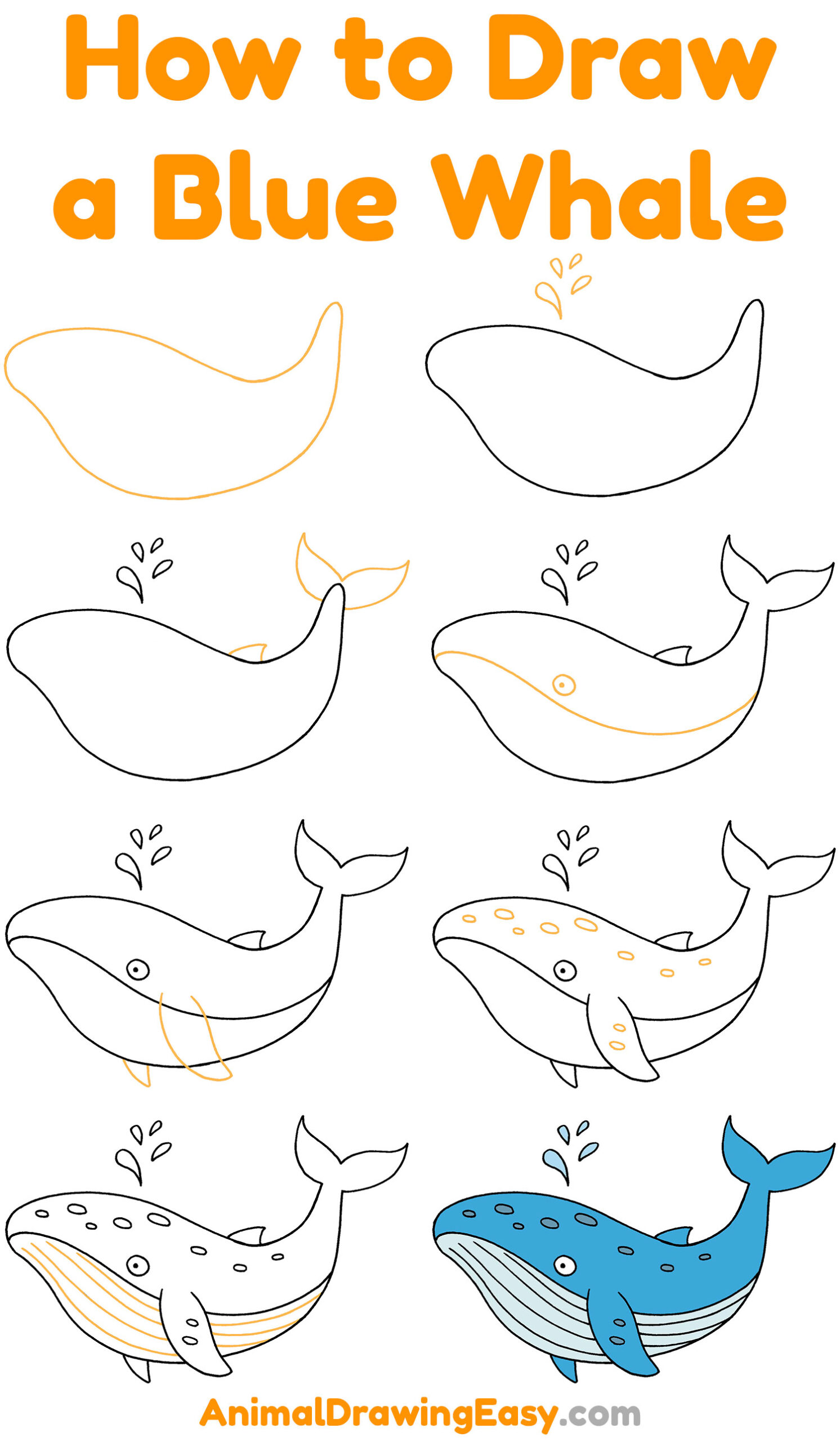How to Draw a Blue Whale Step by Step