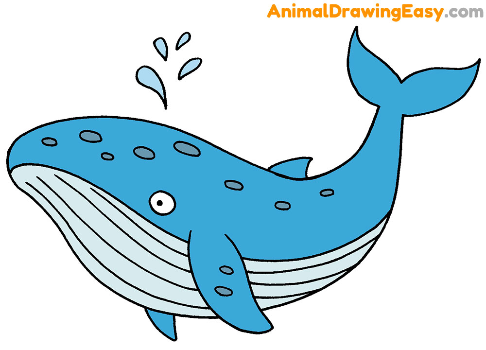 How to Draw a Blue Whale