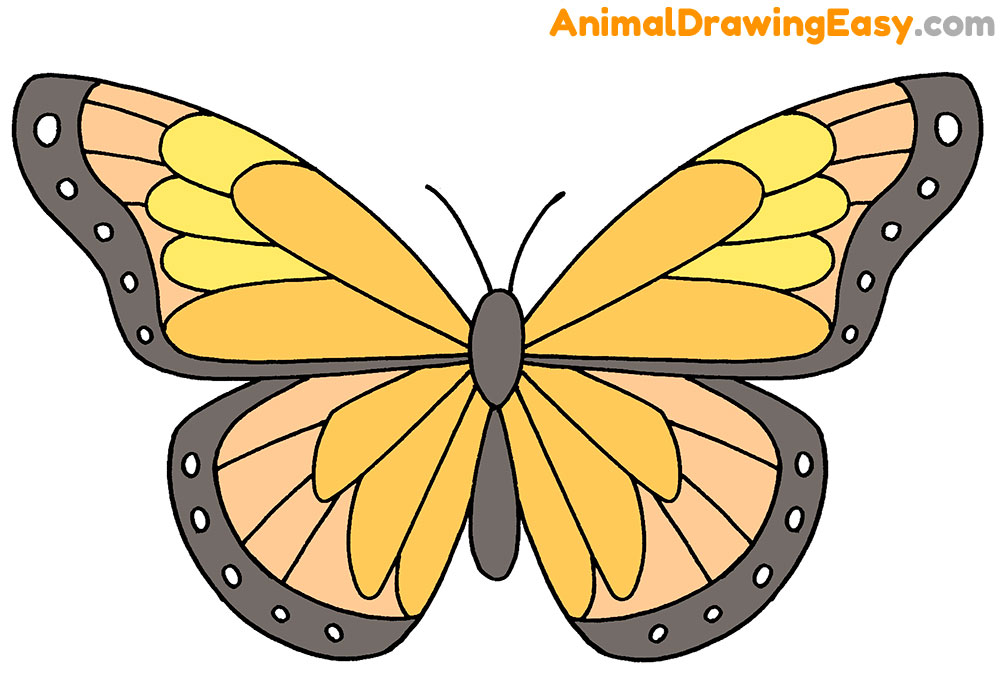 How to Draw a Butterfly