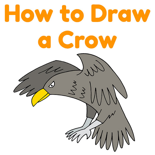 How to draw crow || Crow face drawing || Easy crow drawing for beginners -  YouTube