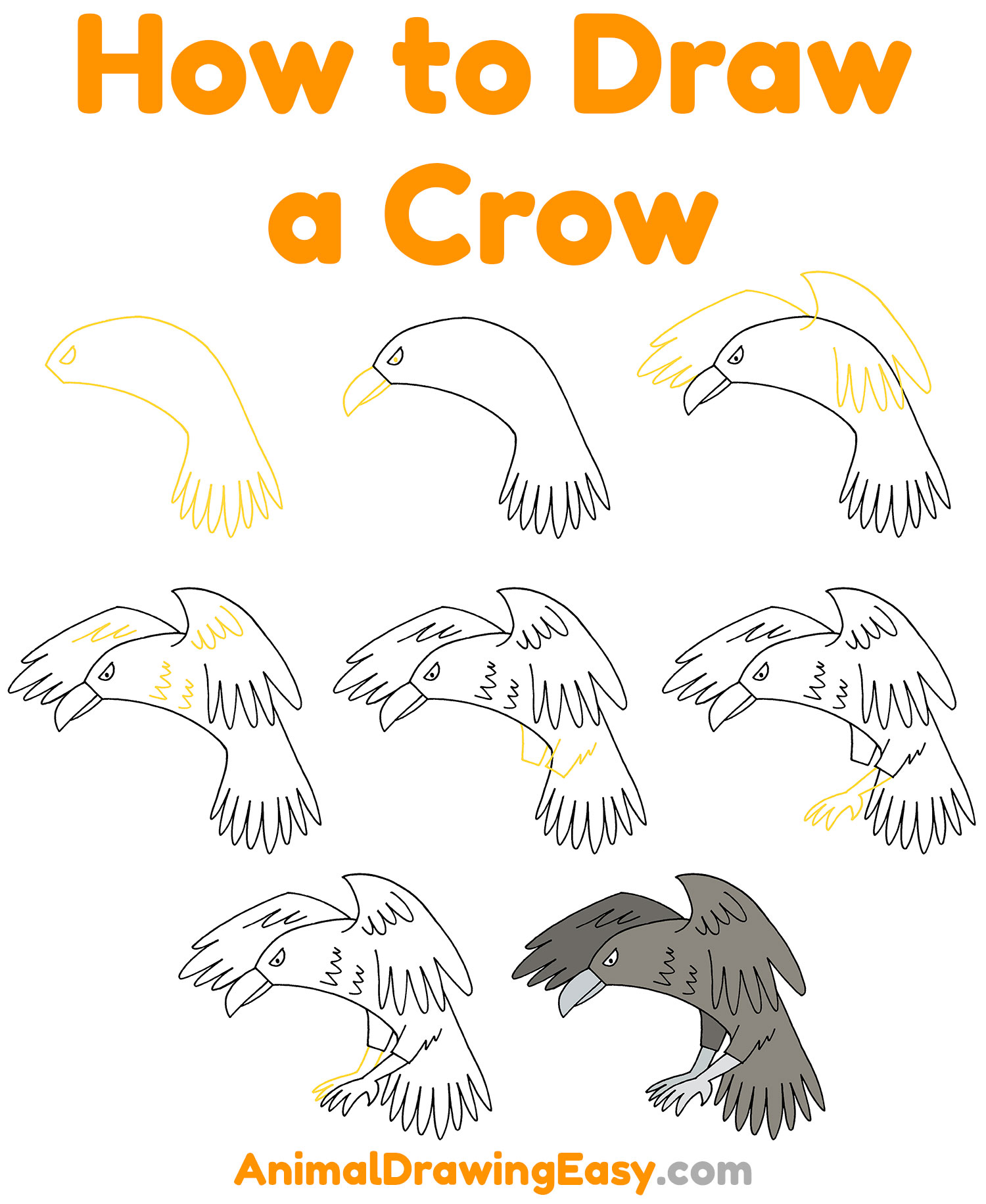 How to Draw a Crow Step by Step