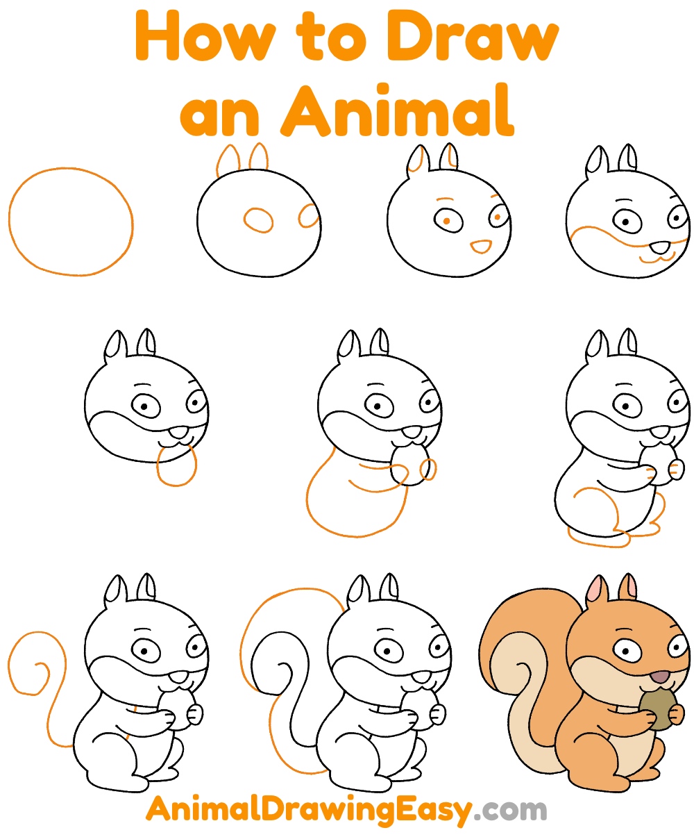 How to Draw an Animal Step by Step