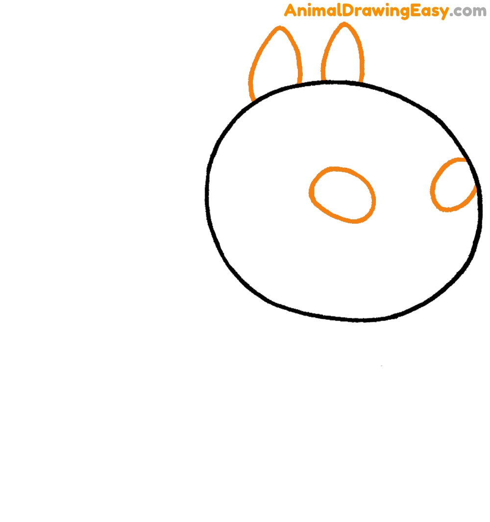 Simple Animal Drawing